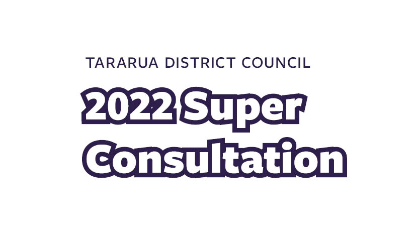 Bylaws Review - Statement of Proposals for Water, Dog Control and Class 4 Gambling and Racing Board Venue Policy