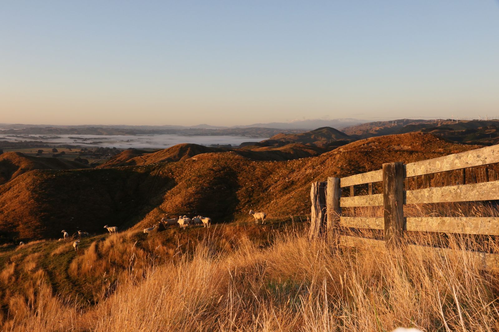 District Plan  banner image