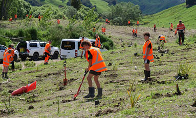 Students transform the landscape at Waione