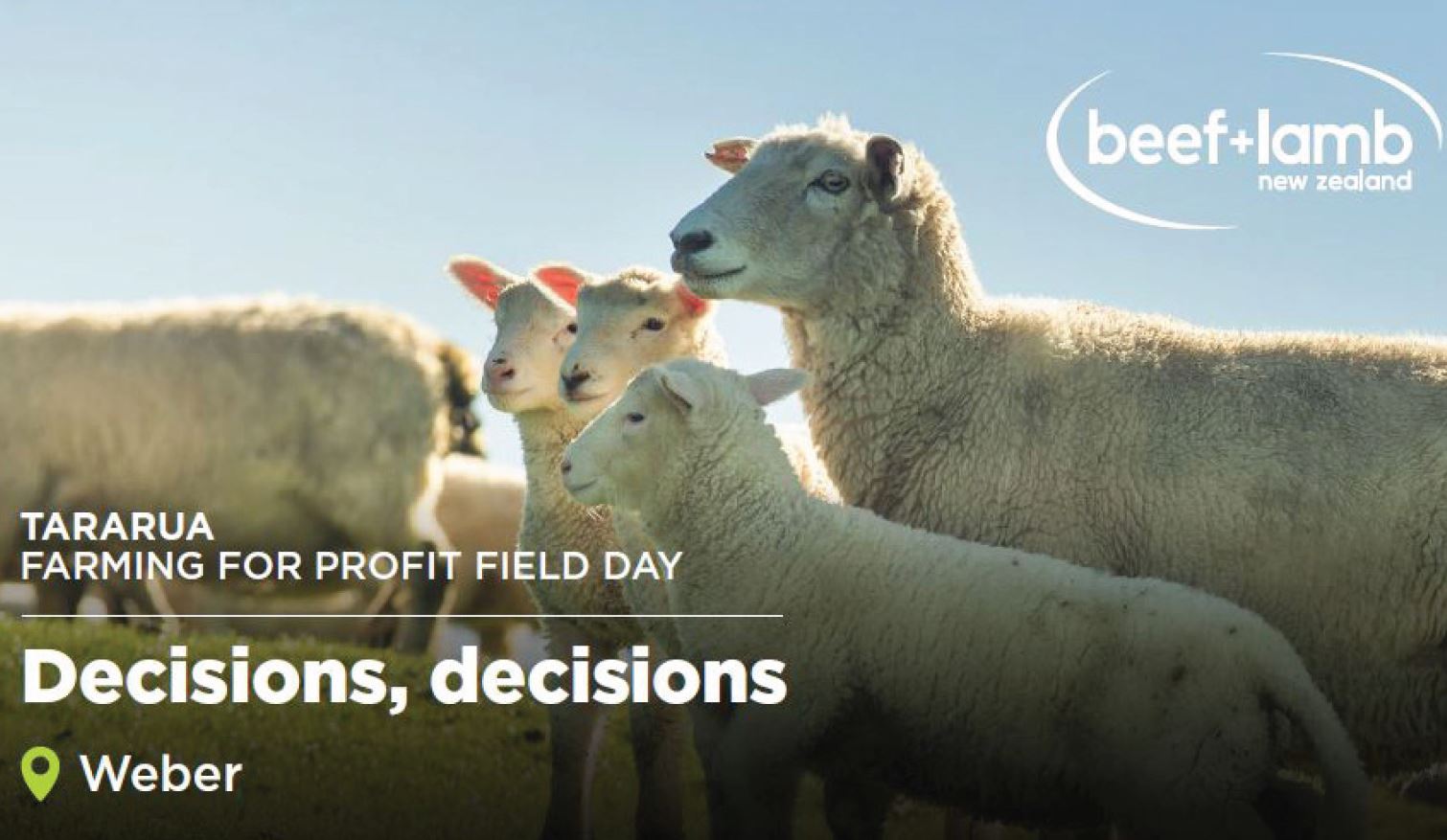 Tararua - Farming for profit field day