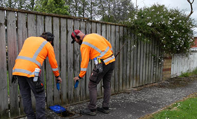 Finding and fixing water leaks before summer 