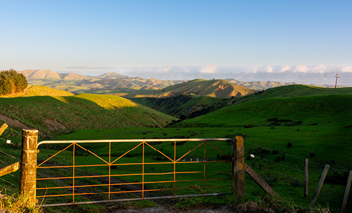 Tararua District Photo Competition 