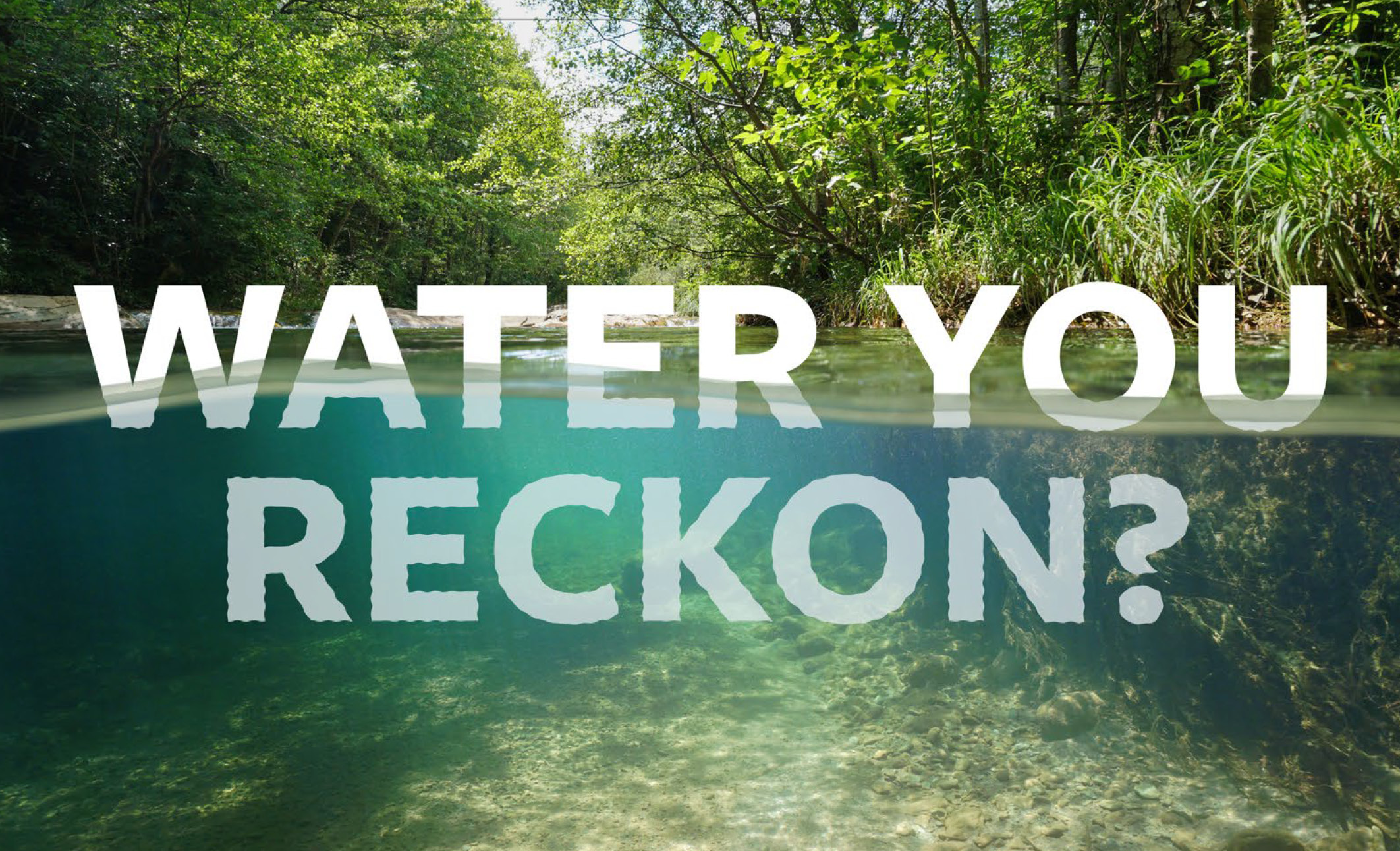 Consultation opens today! Have your say on the future of water services in Tararua