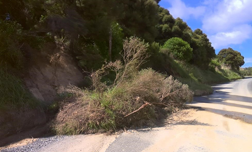 How photos can help road crews 