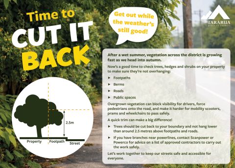 Overhanging Vegetation from Private Property