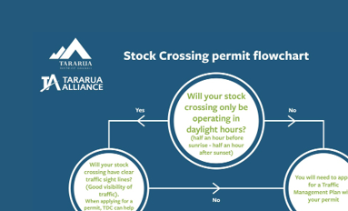 Tararua Stock Crossings