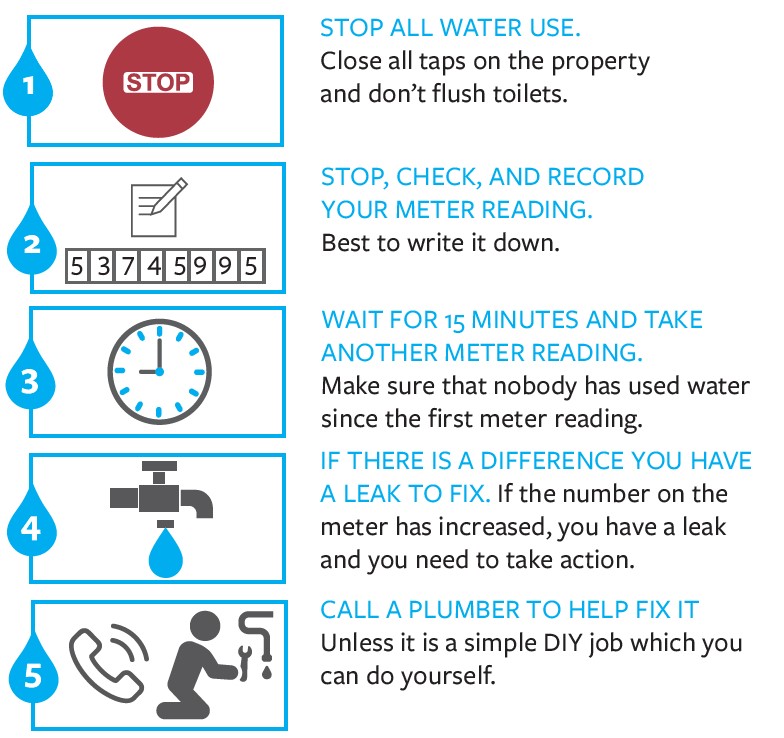 Check for water leaks infographic