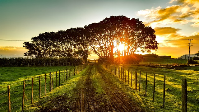 Hub funding to build resilience in rural communities