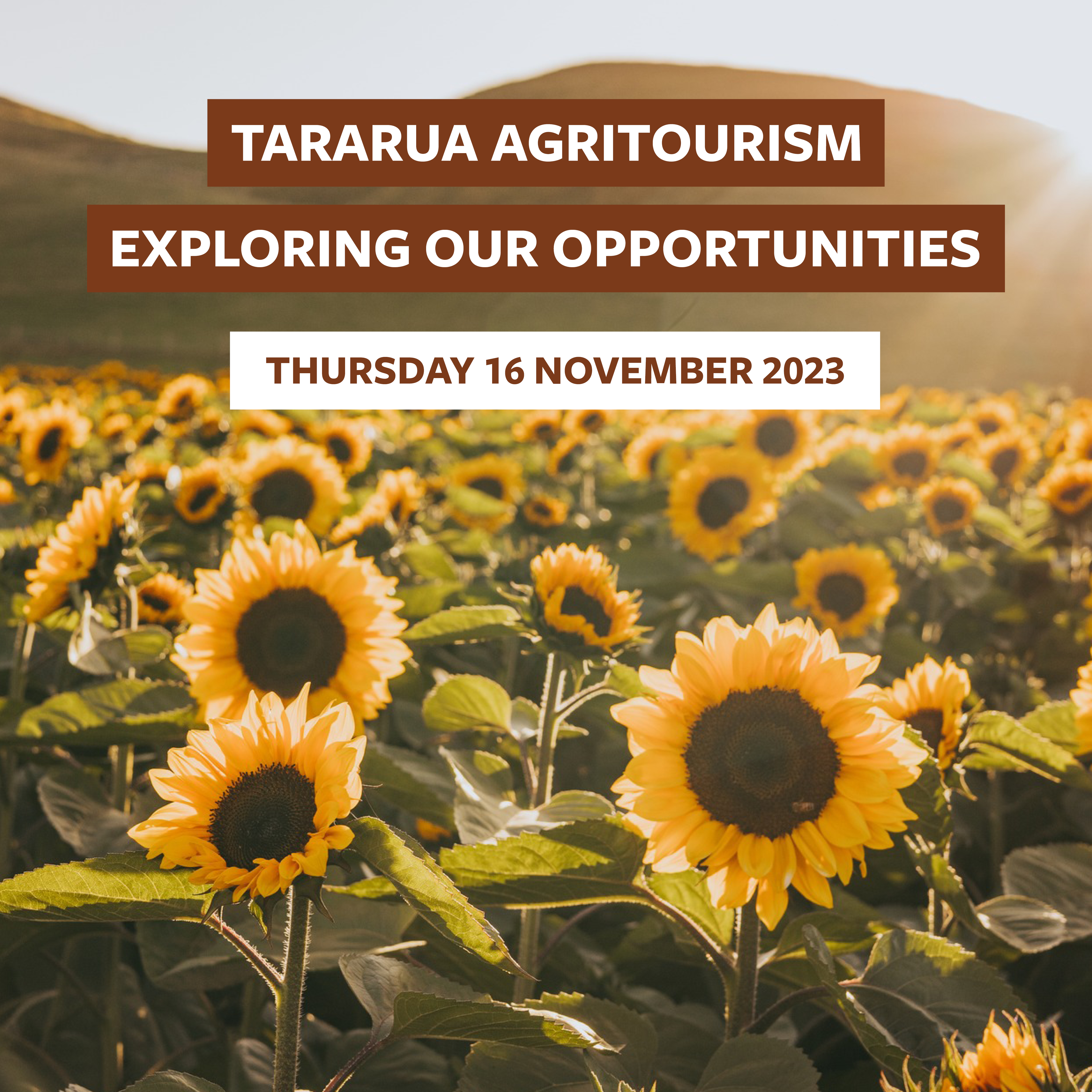 Tararua Agritourism – Exploring our opportunities workshop