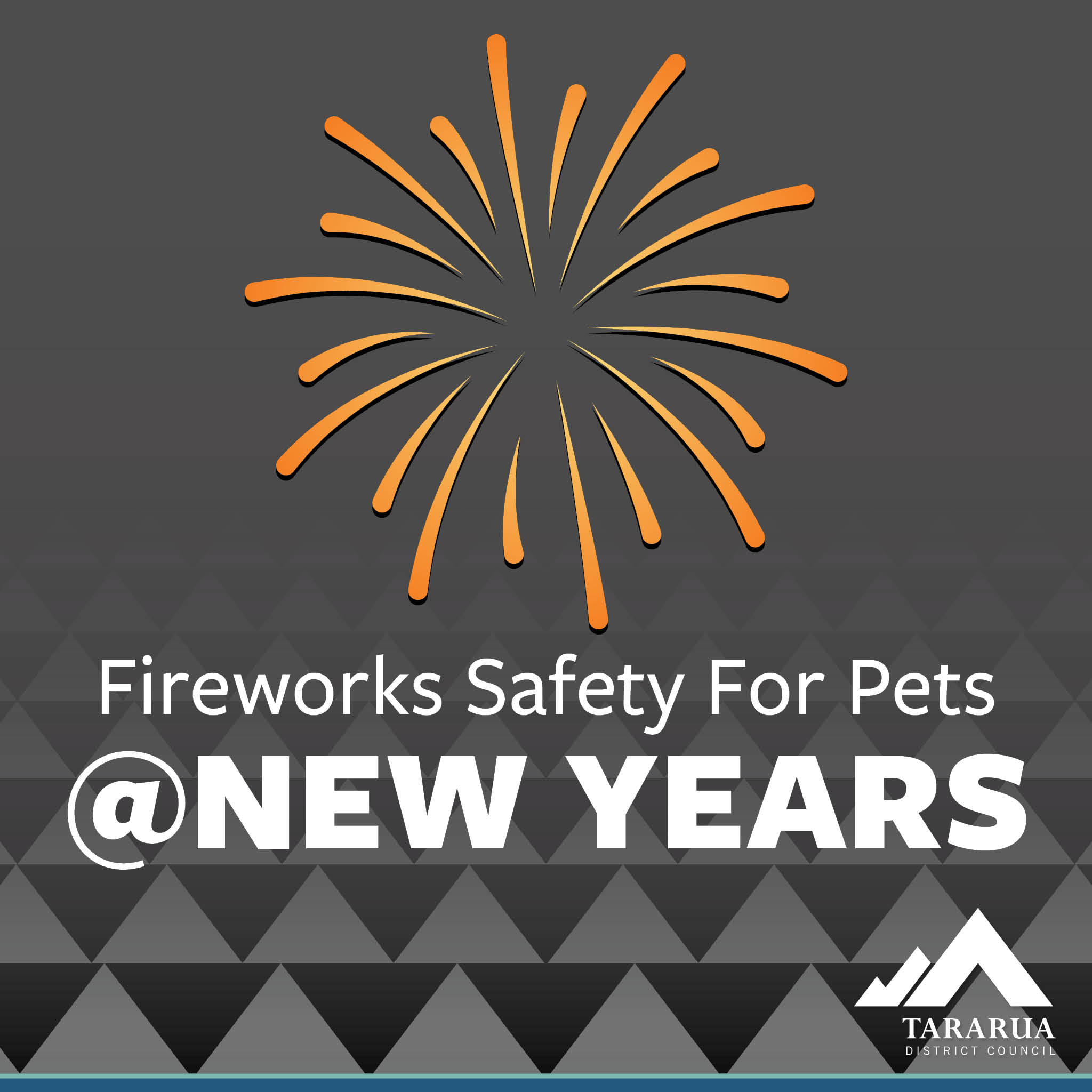 Pet safety and the New Year