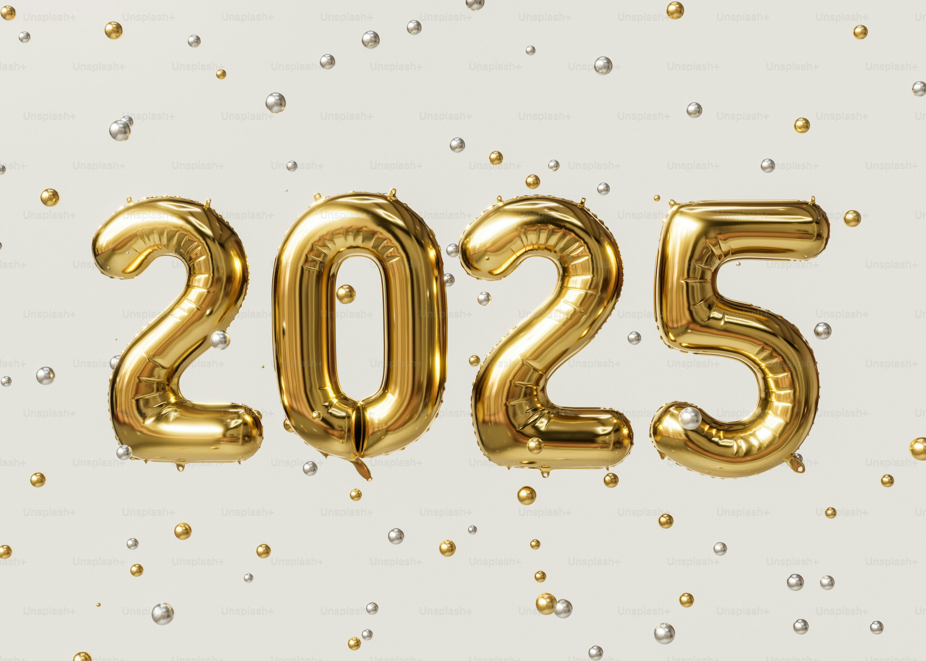 Snapshot 2025