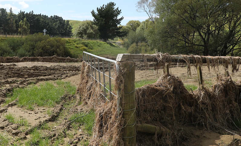 Cyclone Gabrielle grants for farmers and growers - applications closing soon
