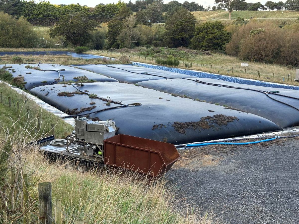 Wave press - sludge dewatering process
