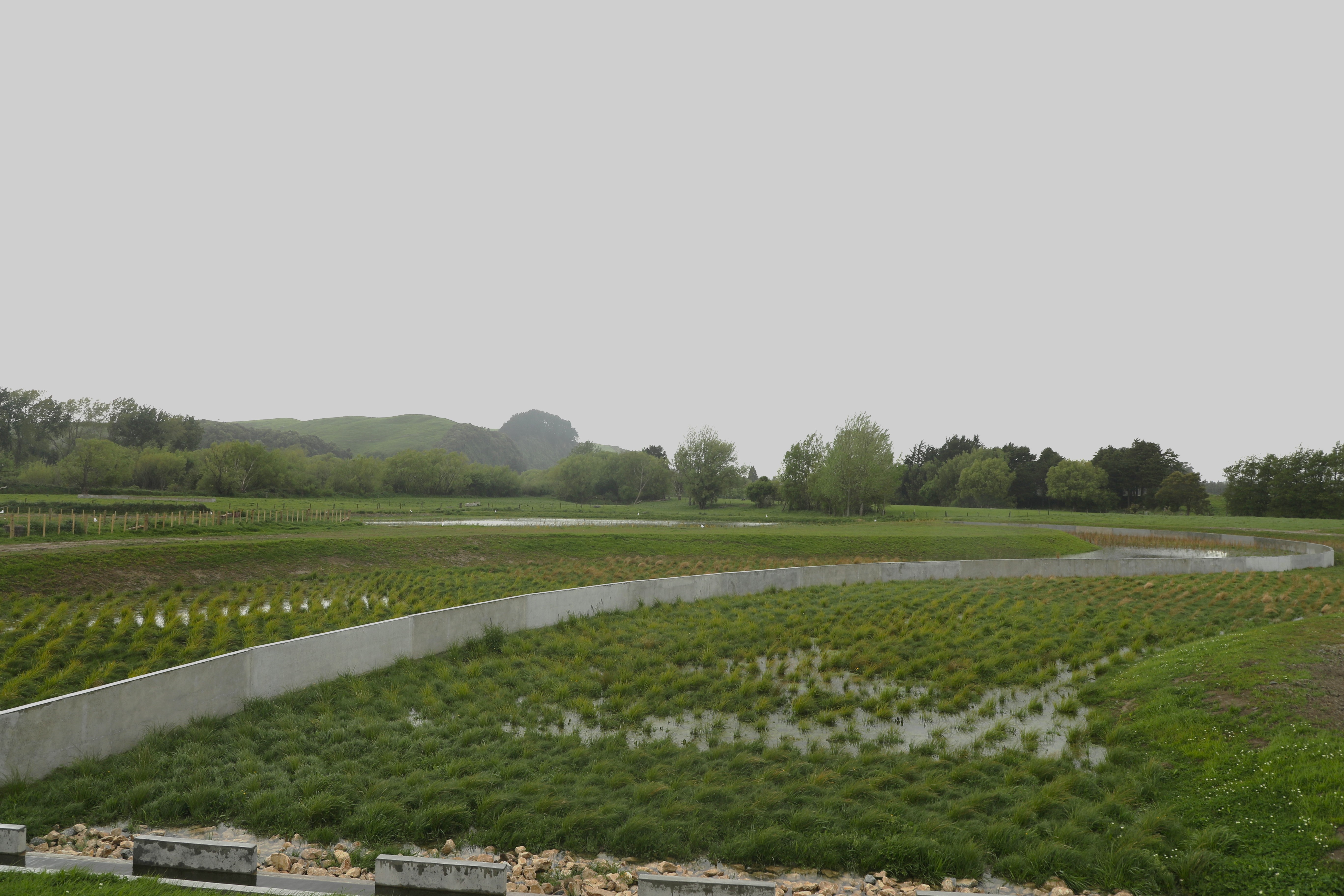 Pahiatua wetlands