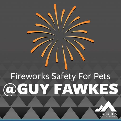 Pet Safety - Guy Fawkes Night
