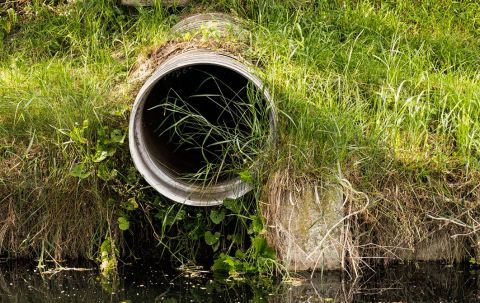 Pahiatua Wastewater Treatment Plant Upgrade and Wetlands