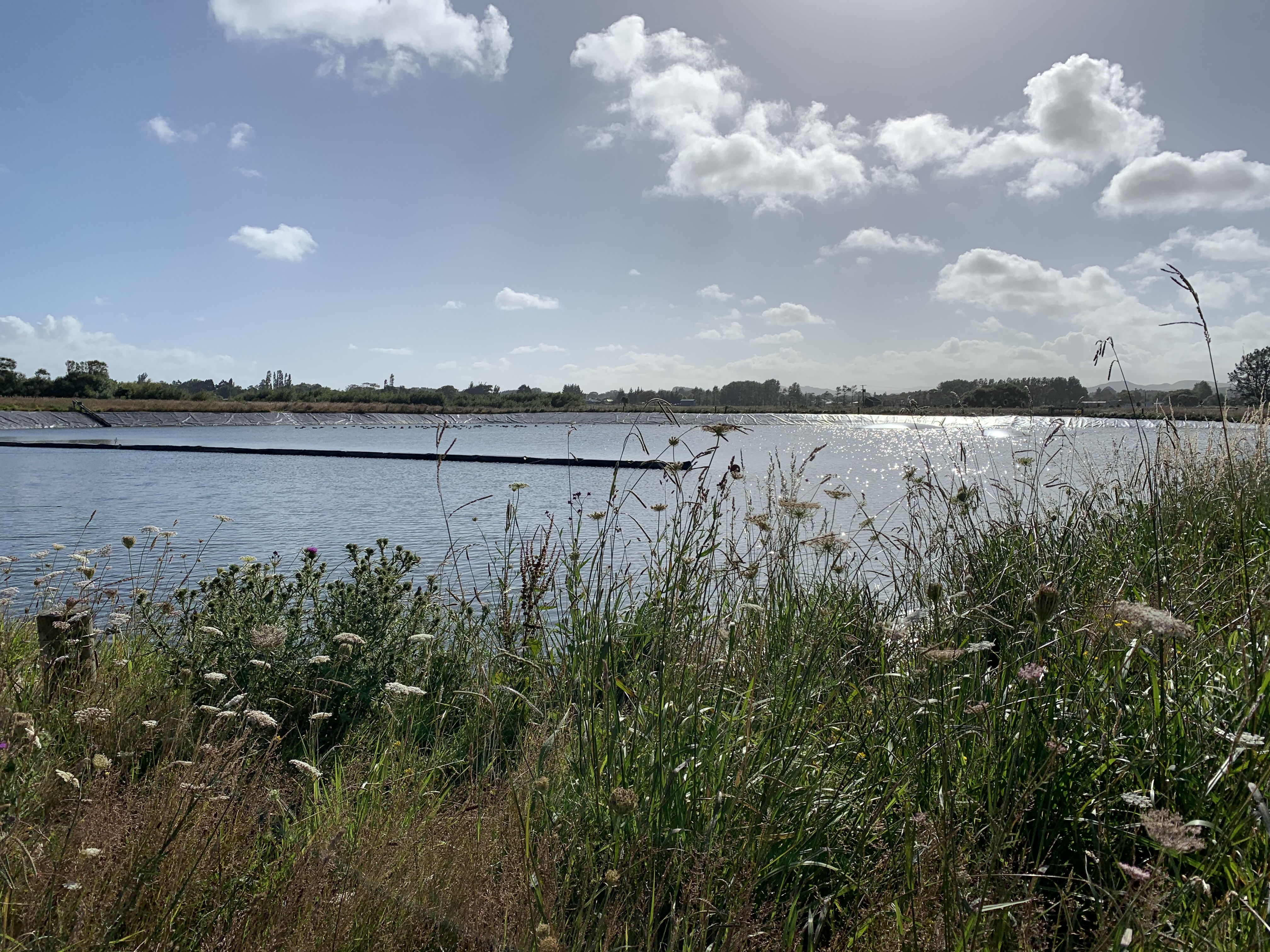 Wastewater Forum